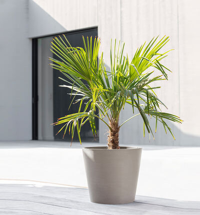 Ecopots Amsterdam gråbrun 60cm Ecopots Amsterdam gråbrun 60cm